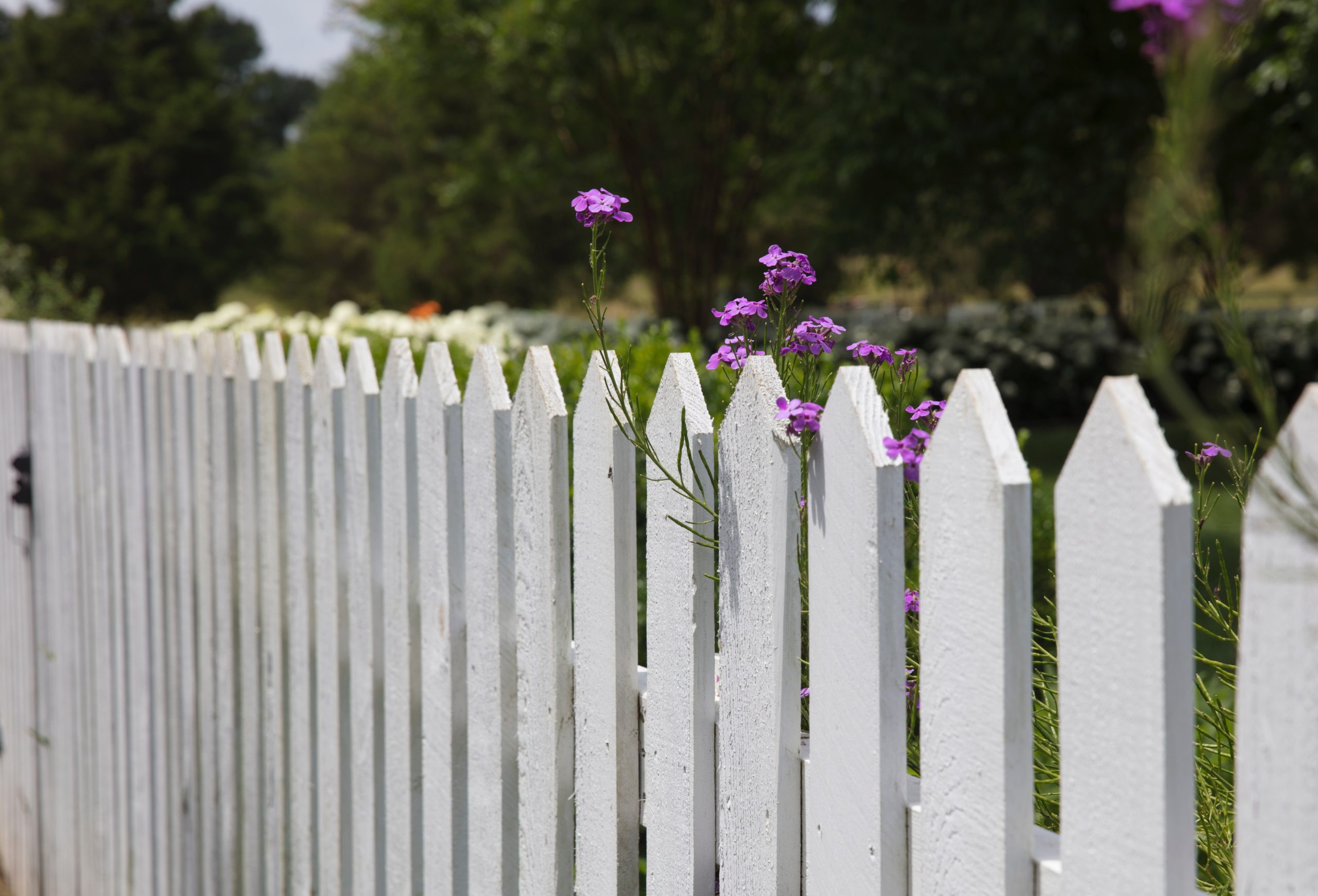 Where To Get The Best Fencing & Construction Training Near Me